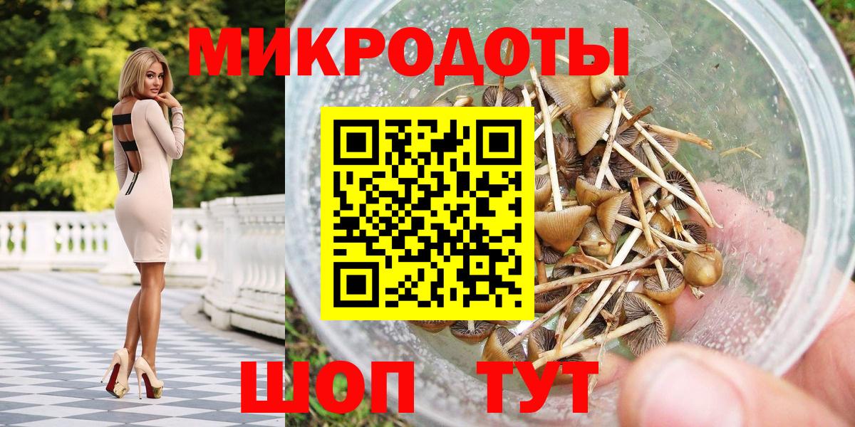 Ростов Великий  Галлюциногенные грибы MAGIC MUSHROOMS  Вход с VPN 